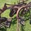 international-14-image-5