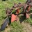 international-14-image-5