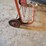zephyr-motor-oil-stand-image-4