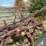 international-12-image-7