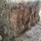 (50)-small-square-bales-of-1st-cutting-hay-in-2025-image-5