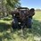soil-mover-90-e-pull-type-scraper-image-2