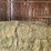 (50)-small-square-bales-of-1st-cutting-hay-in-2025-image-7