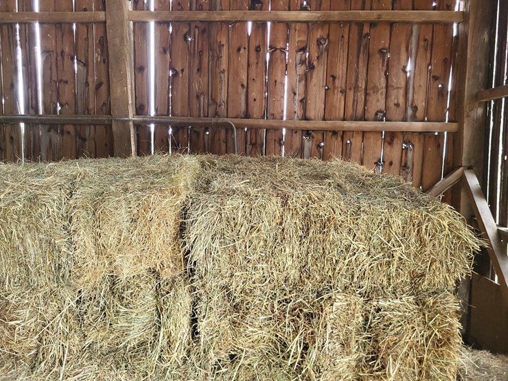 (50)-small-square-bales-of-1st-cutting-hay-in-2025-image-7