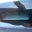 2012-ford-f250-image-13