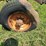 international-14-image-7