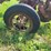 international-14-image-9