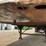 great-dane-53-image-13