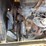 wiggins-wg86wtrt4-forklift-image-16