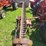 farmall-200-with-fast-hitch-sickle-mower-image-19