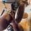mccormick-deering-cream-separator-image-7
