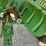 john-deere-b-image-17