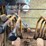 #131-•-1988-husky-brute-knuckleboom-on-truck-image-20