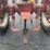 #6067-•-1948-farmall-h-tractor-image-15