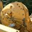 2004-tigercat-620c-image-39