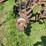 international-12-image-8