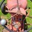 1957-allis-chalmers-d14-image-19