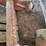 hesston-5000-image-4