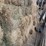 (41)-small-square-bales-of-1st-cutting-hay-in-2025-image-8
