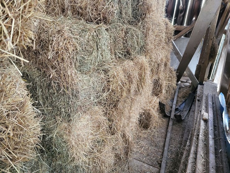 (41)-small-square-bales-of-1st-cutting-hay-in-2025-image-8