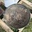 small-charcoal-grill-image-3