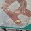 white-rose-sign-image-7