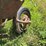 international-14-image-9