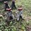 jack-stands---pair-image-2