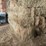(50)-small-square-bales-of-1st-cutting-hay-in-2025-image-2
