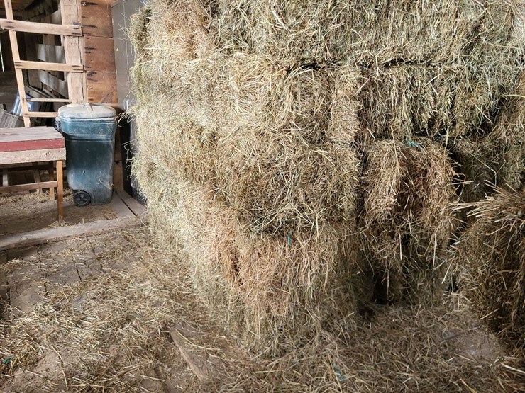 (50)-small-square-bales-of-1st-cutting-hay-in-2025-image-2