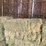 (50)-small-square-bales-of-1st-cutting-hay-in-2025-image-8
