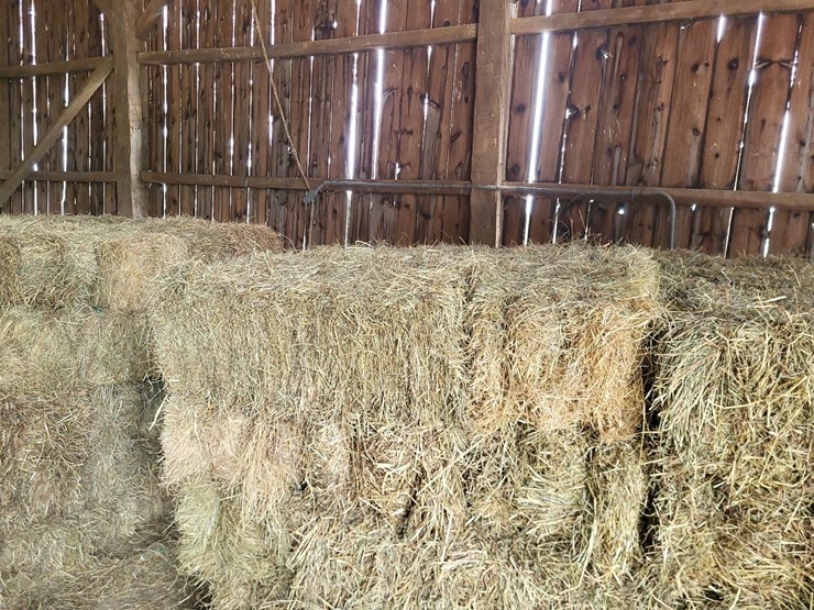 (50)-small-square-bales-of-1st-cutting-hay-in-2025-image-8