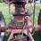 1955-farmall-300-image-12