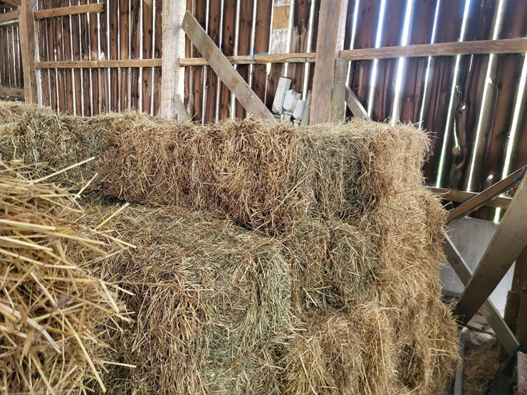 (41)-small-square-bales-of-1st-cutting-hay-in-2025-image-7