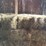 (50)-small-square-bales-of-1st-cutting-hay-in-2025-image-4