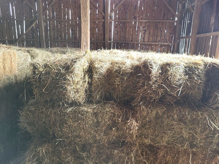 (50)-small-square-bales-of-1st-cutting-hay-in-2025-image-4