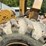 2004-tigercat-620c-image-53