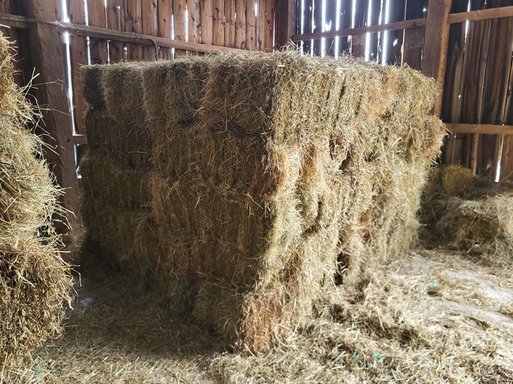 (50)-small-square-bales-of-1st-cutting-hay-in-2025-image-1