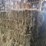 (50)-small-square-bales-of-1st-cutting-hay-in-2025*updated-bale-information-8-19-26-@-5:00p*-image-9
