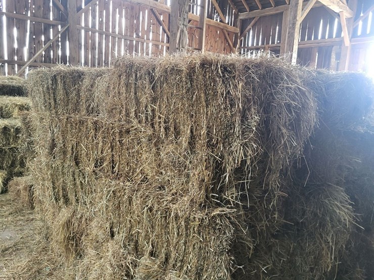 (50)-small-square-bales-of-1st-cutting-hay-in-2025*updated-bale-information-8-19-26-@-5:00p*-image-9