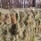 (50)-small-square-bales-of-1st-cutting-hay-in-2025-image-7