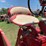 1957-farmall-350-image-18