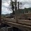#142-•-1985-international-log-truck-image-25