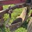 international-700-image-9