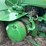 john-deere-d-image-13