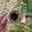 brent-420-image-10