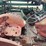 massey-ferguson-20-image-5