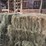 (50)-small-square-bales-of-1st-cutting-hay-in-2025-image-9