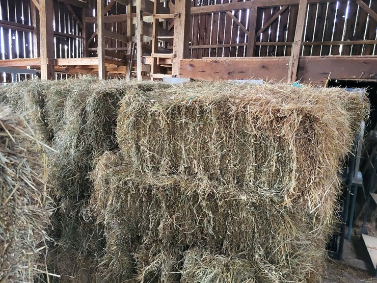 (50)-small-square-bales-of-1st-cutting-hay-in-2025-image-9