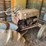 ford-8n-image-1
